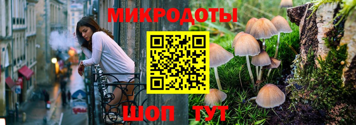 Галлюциногенные грибы Cubensis  Вход с VPN  Павловский Посад 